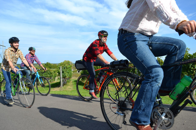 Bicycles in Michigan wine country